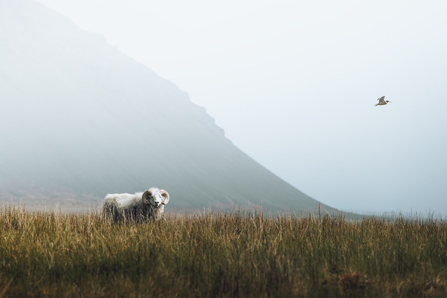 Parting Ways / Leiðir skilja